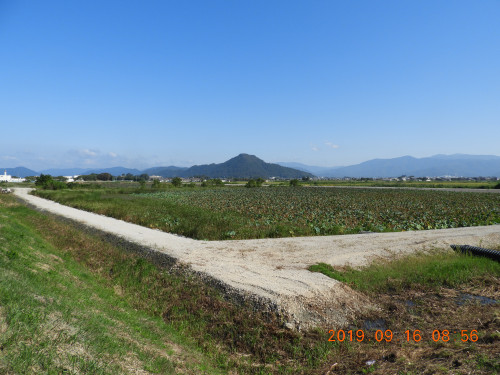 DSCN9620.JPG