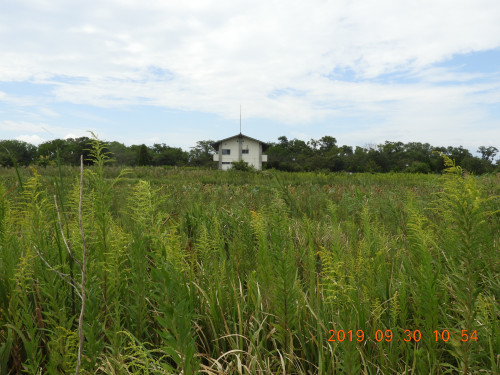 DSCN9664.JPG