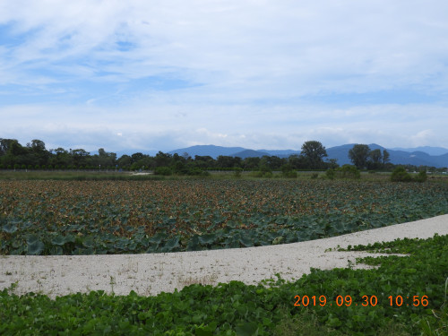 DSCN9666.JPG