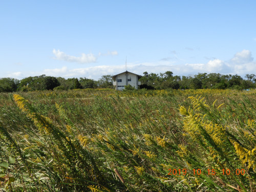 DSCN9764.JPG