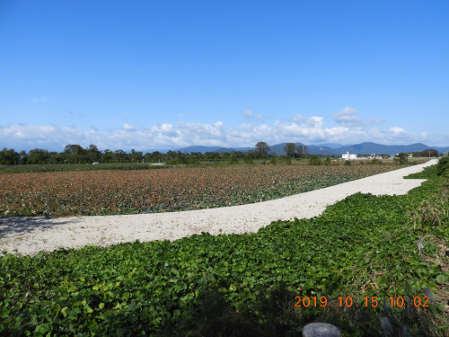 DSCN9765.JPG