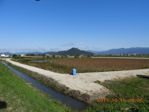 DSCN9767.JPG