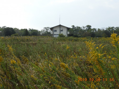 DSCN9806.JPG