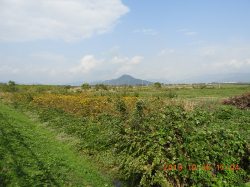 DSCN9812.JPG