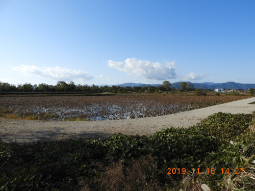 DSCN9950.JPG