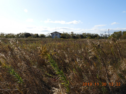 DSCN9959.JPG