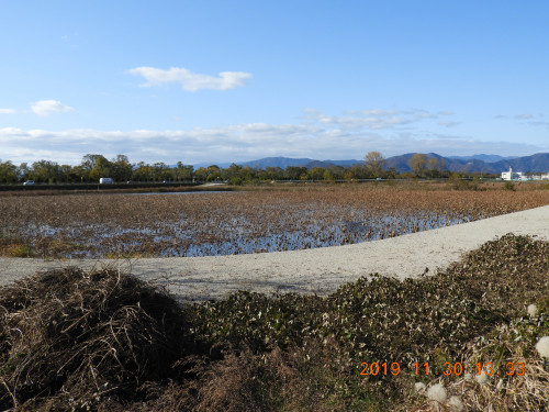 DSCN9960.JPG