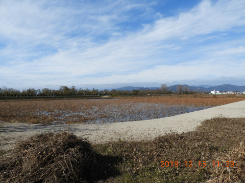 DSCN9971.JPG