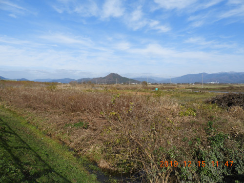 DSCN9975.JPG