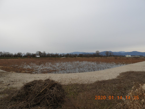 DSCN9995.JPG