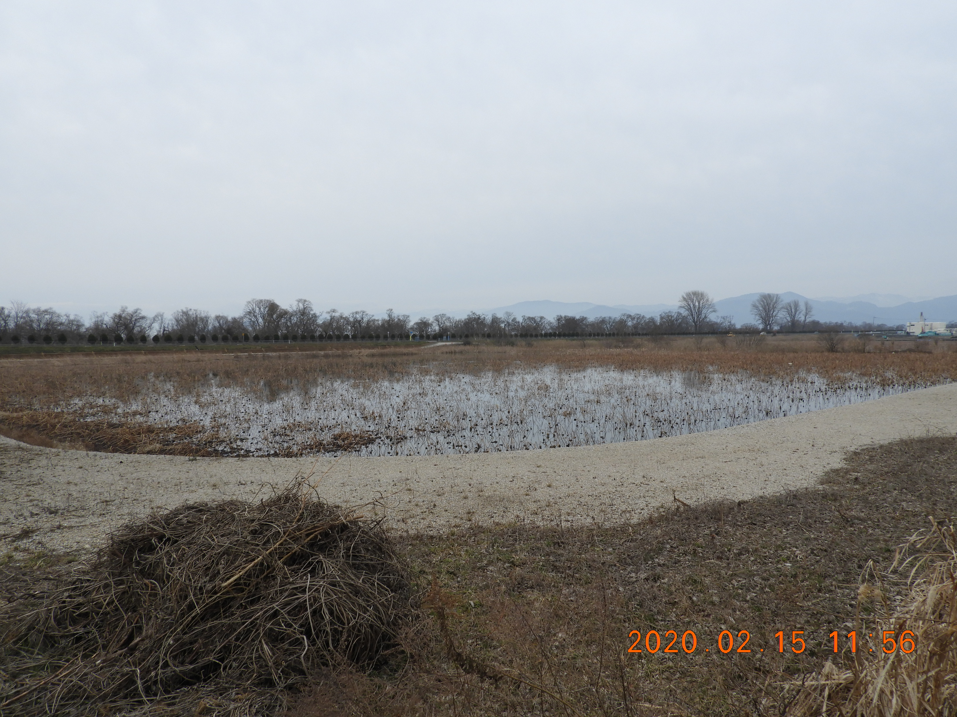 DSCN1046.JPG