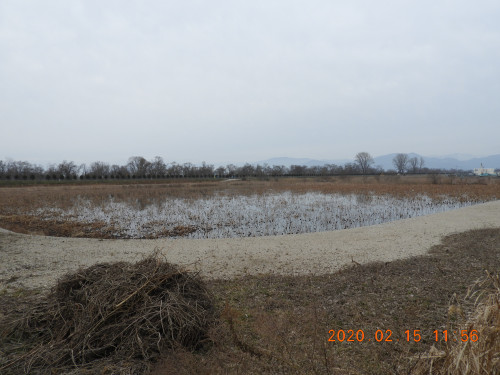 DSCN1046.JPG