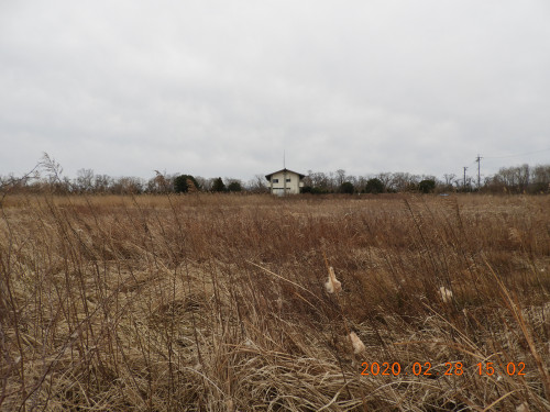 DSCN1833.JPG