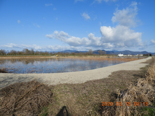 DSCN2364.JPG