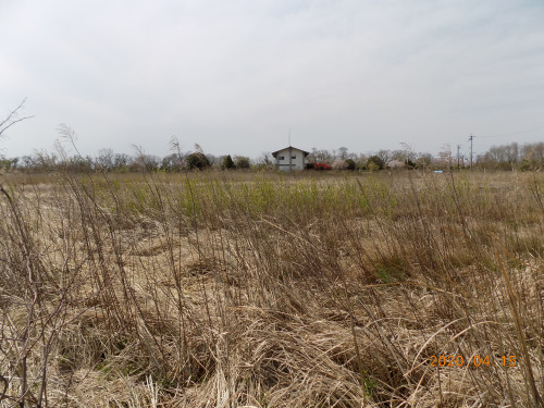 DSCN8224.JPG