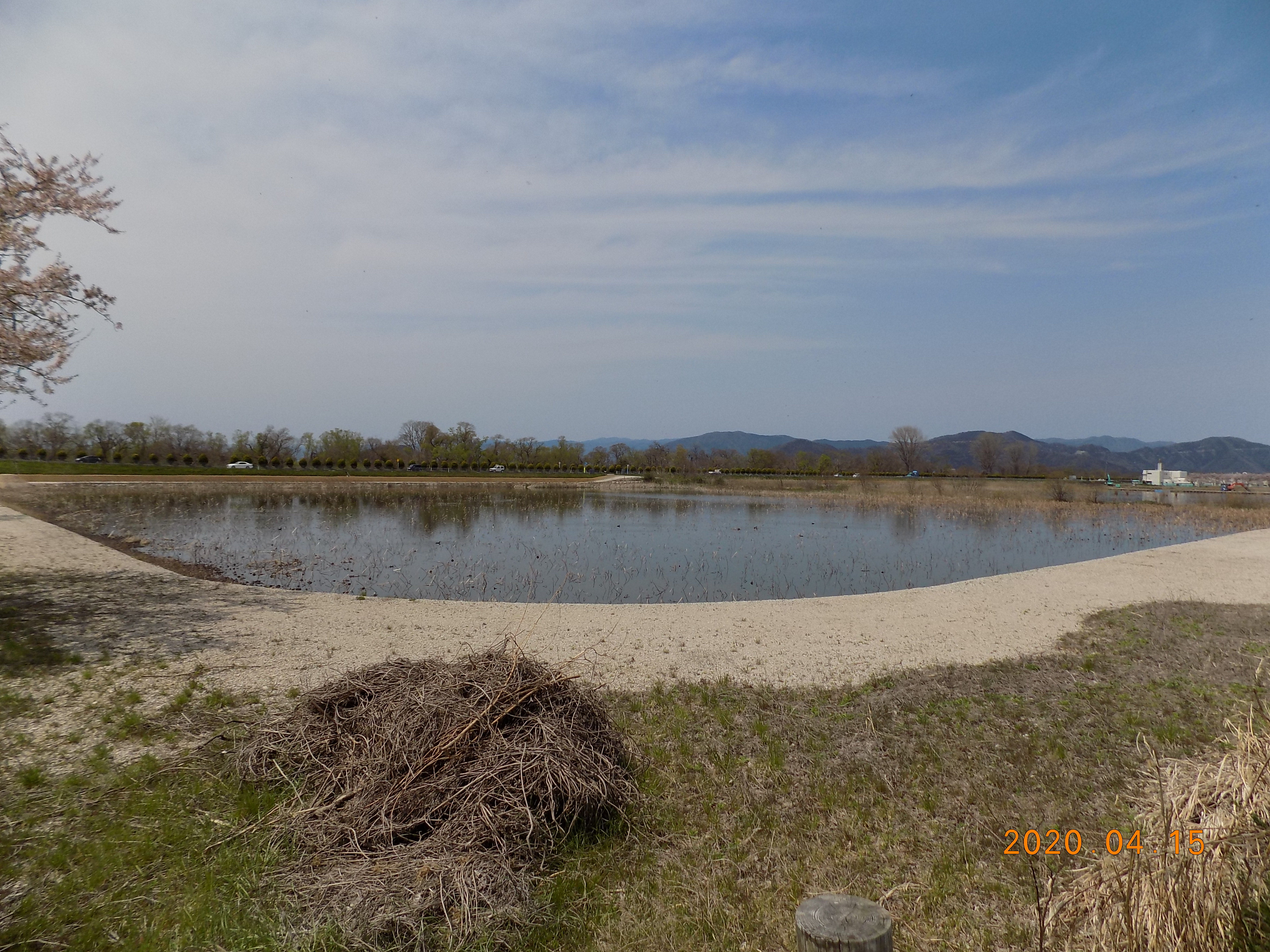 DSCN8225.JPG