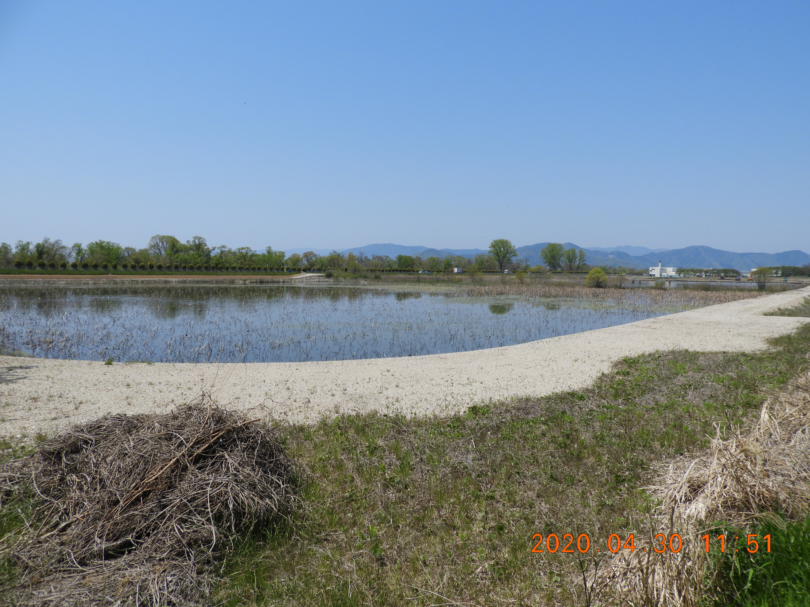 DSCN9107.JPG