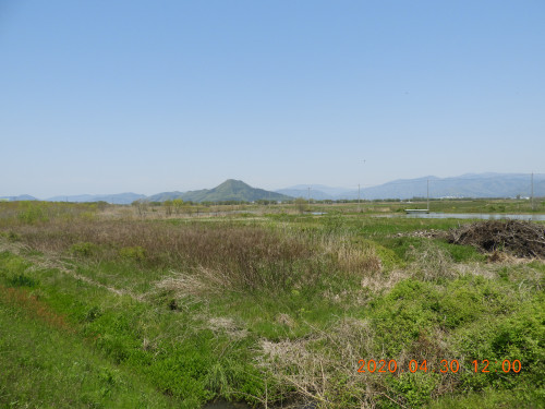 DSCN9113.JPG