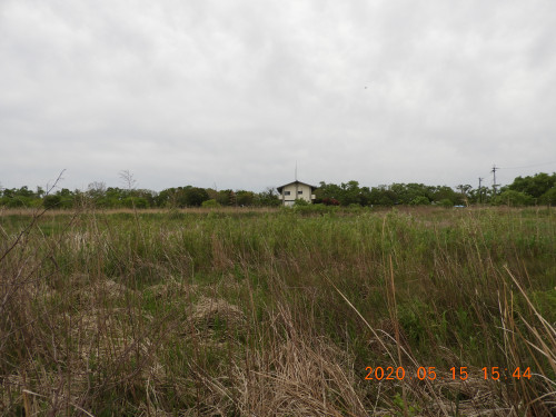 DSCN9424.JPG