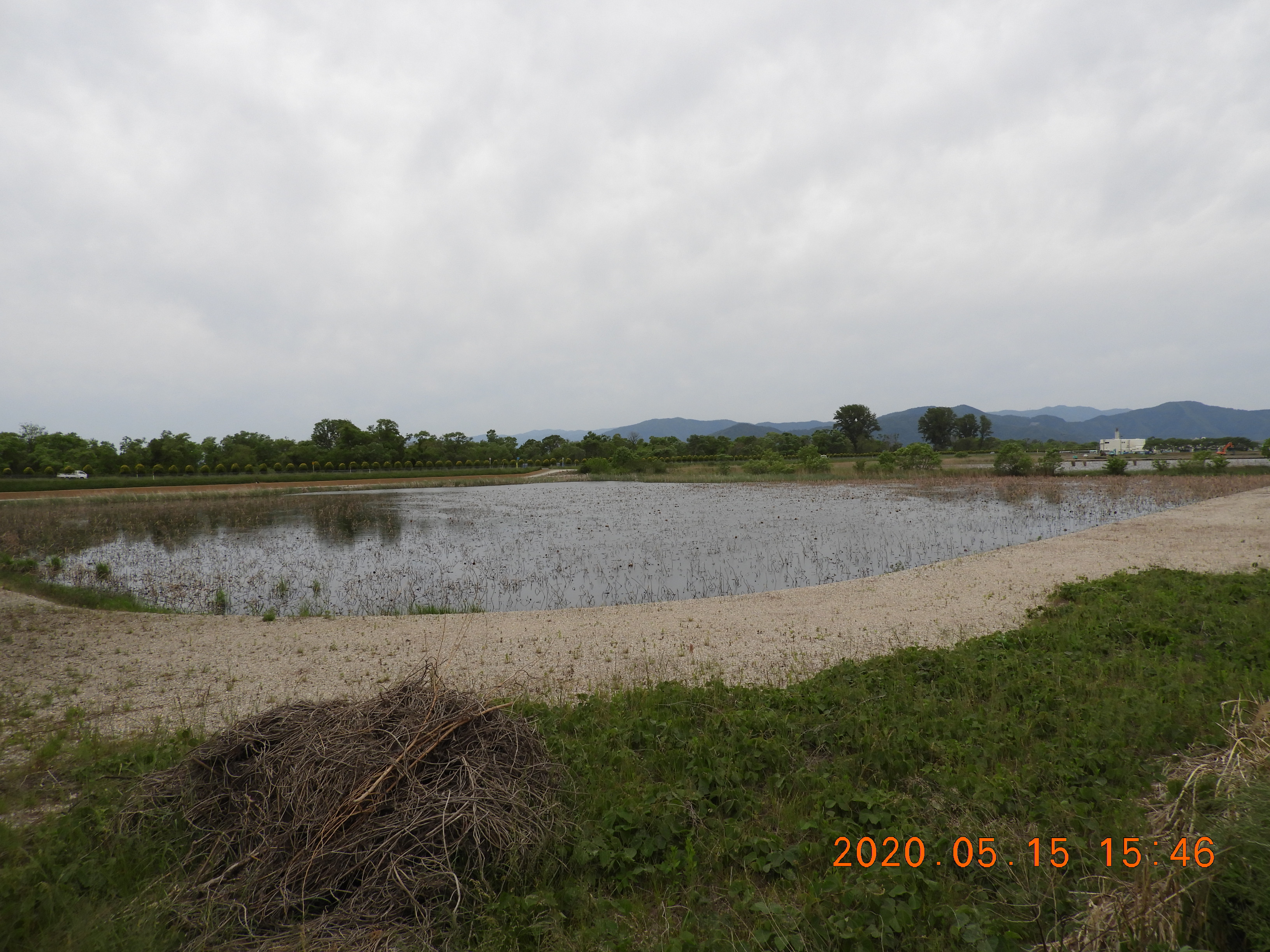 DSCN9425.JPG