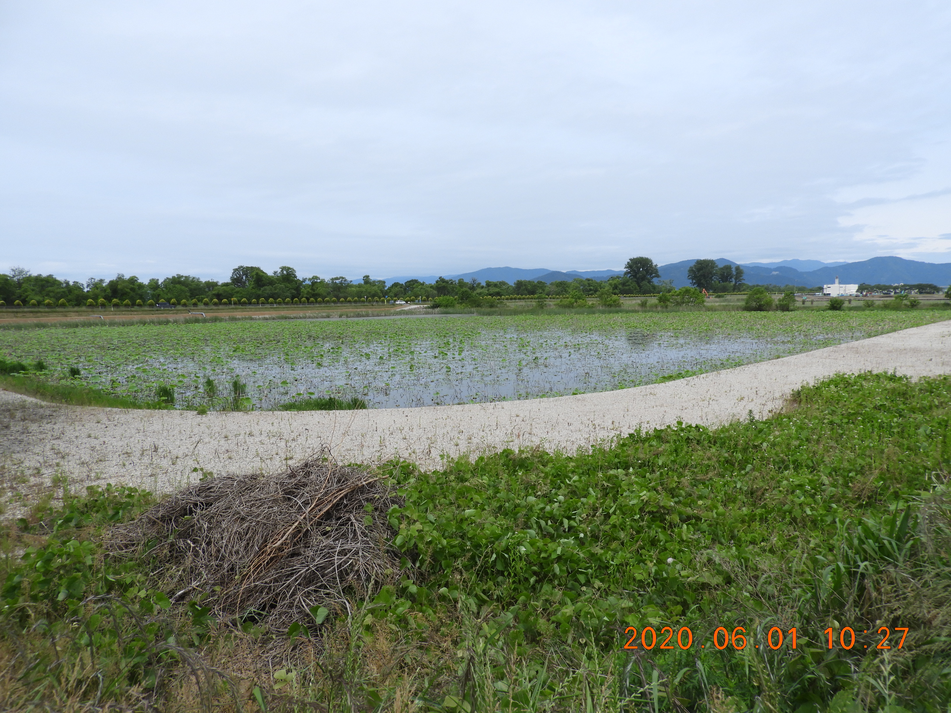 DSCN9541.JPG
