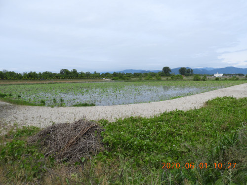 DSCN9541.JPG