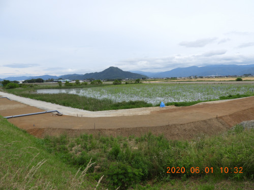 DSCN9546.JPG