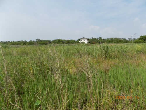 DSCN9435.JPG