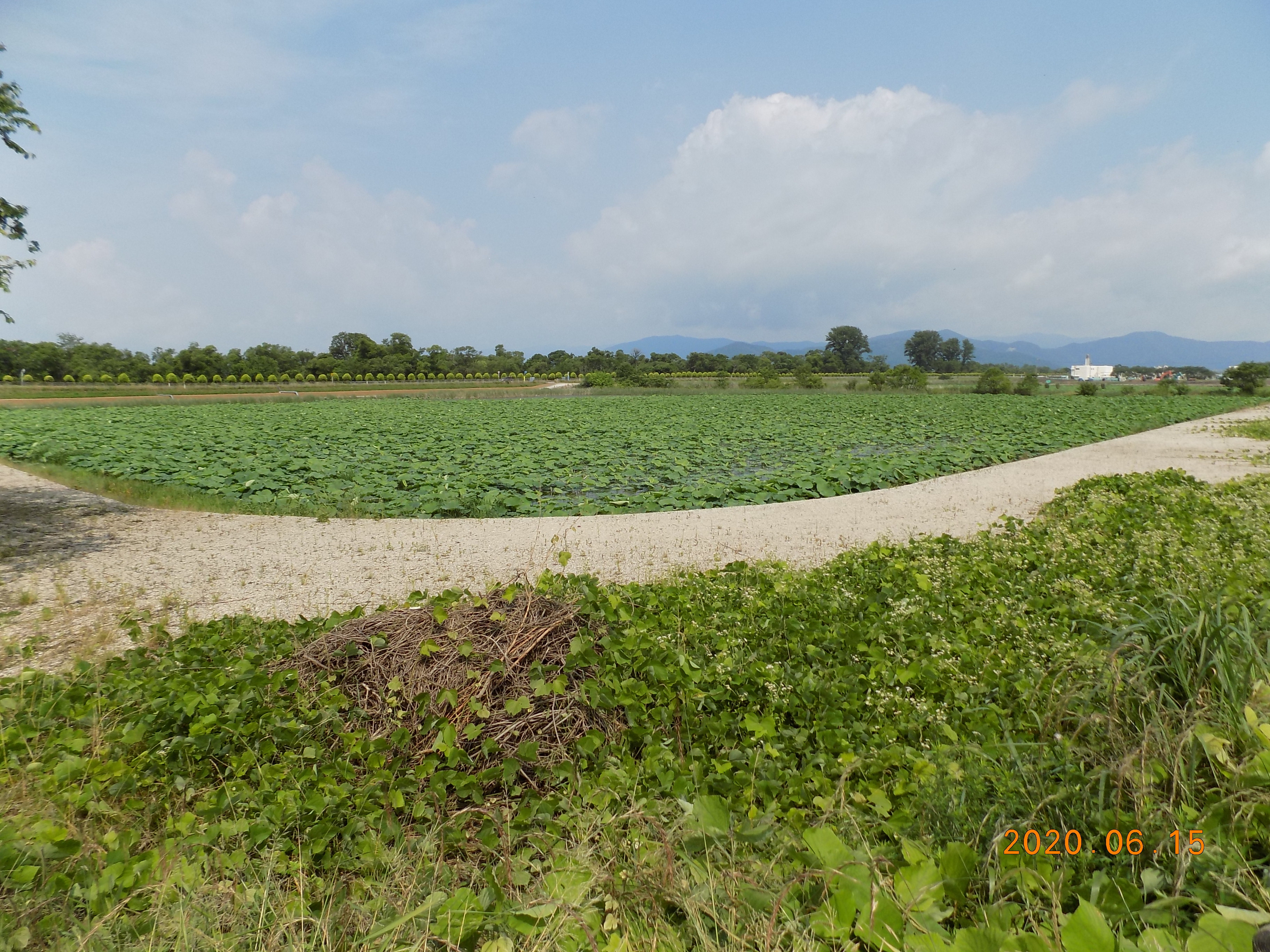 DSCN9436.JPG