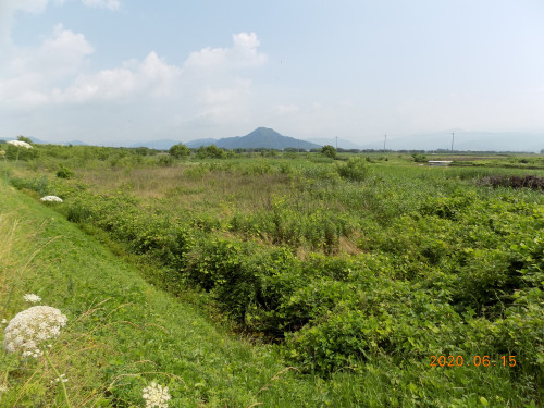 DSCN9439.JPG