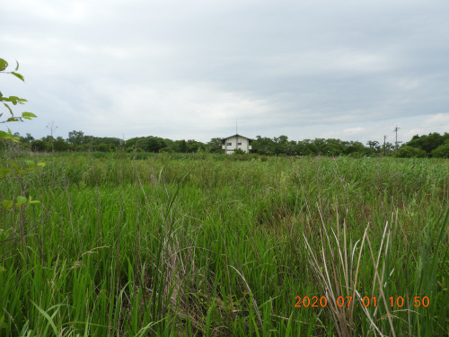 DSCN9667.JPG