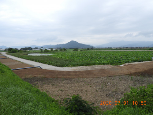 DSCN9673.JPG