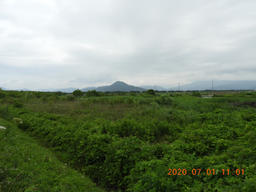 DSCN9674.JPG