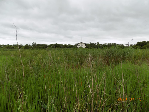 DSCN9553.JPG