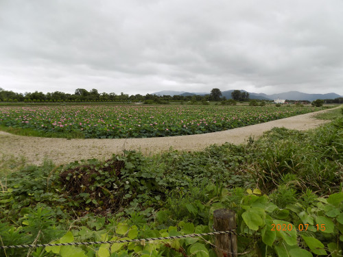 DSCN9554.JPG