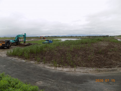 DSCN9555.JPG