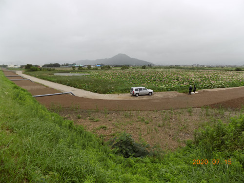 DSCN9556.JPG