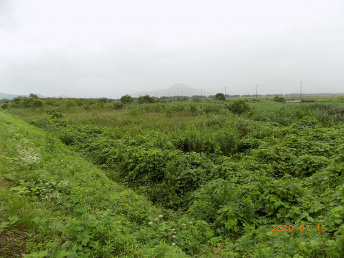 DSCN9557.JPG