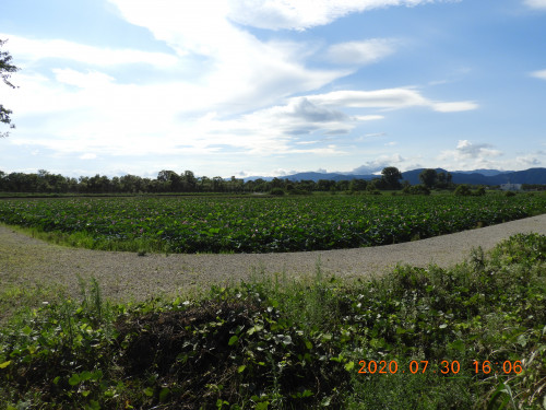 DSCN9985.JPG