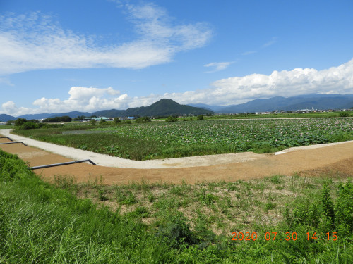DSCN9981.JPG