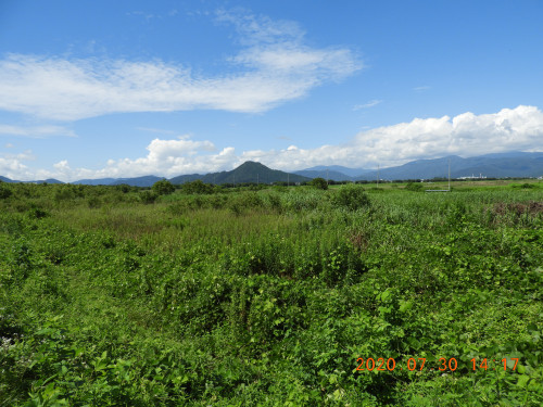 DSCN9982.JPG