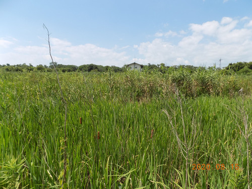 DSCN9569.JPG