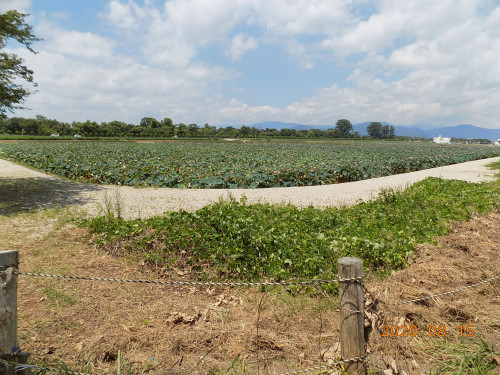 DSCN9570.JPG