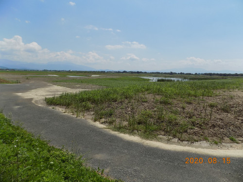 DSCN9571.JPG