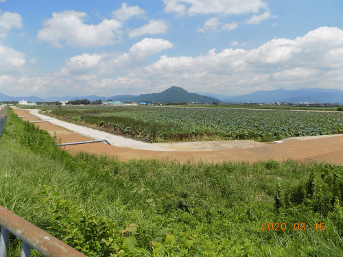 DSCN9572.JPG