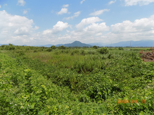 DSCN9574.JPG