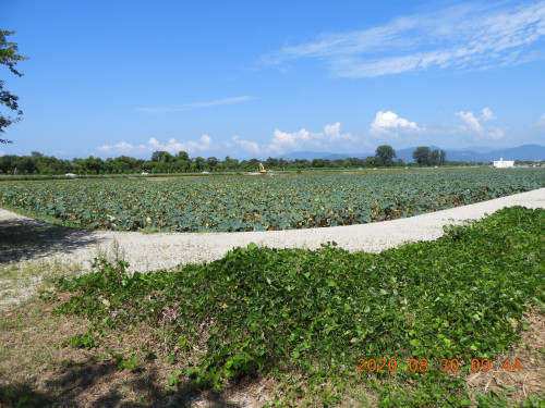 DSCN9992.JPG