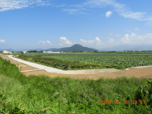 DSCN9997.JPG