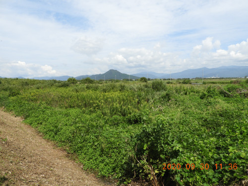 DSCN9736.JPG
