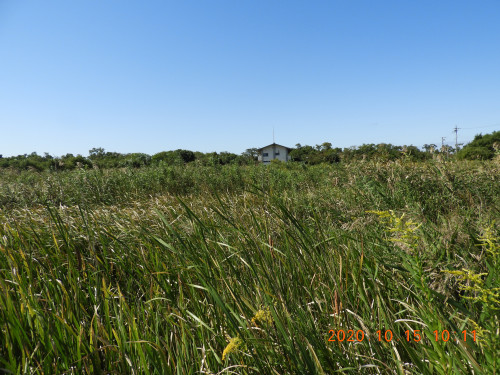 DSCN0003.JPG
